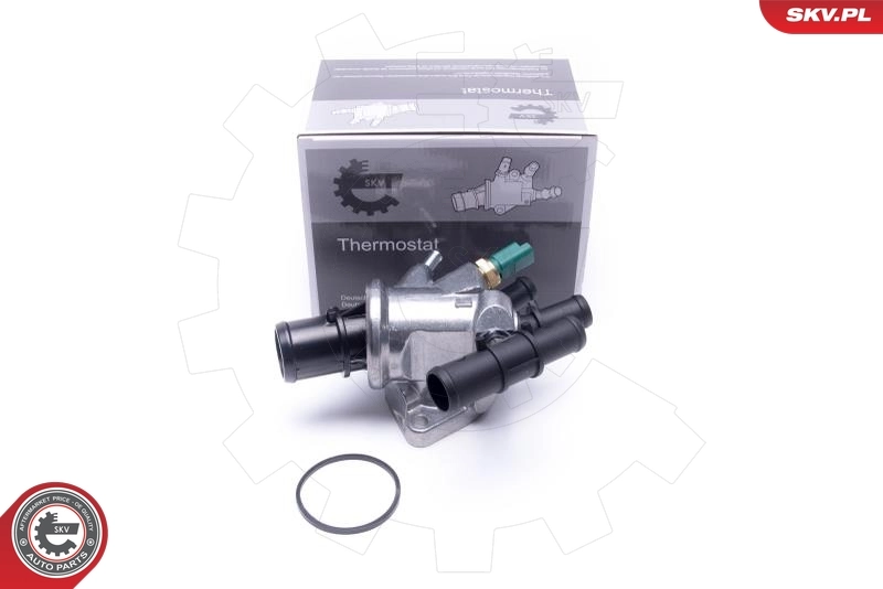 Thermostat, coolant